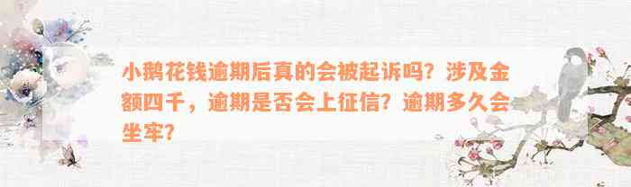 小鹅花钱逾期后真的会被起诉吗？涉及金额四千，逾期是否会上征信？逾期多久会坐牢？