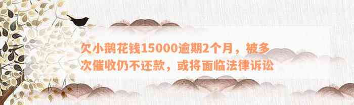 欠小鹅花钱15000逾期2个月，被多次催收仍不还款，或将面临法律诉讼