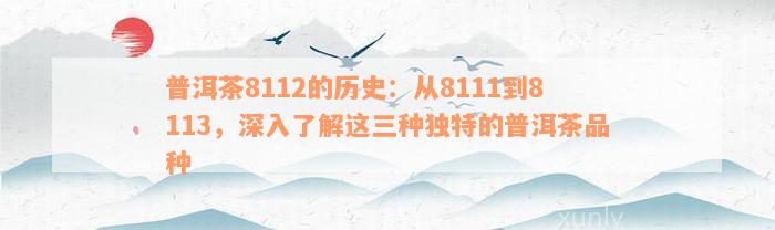 普洱茶8112的历史：从8111到8113，深入了解这三种独特的普洱茶品种