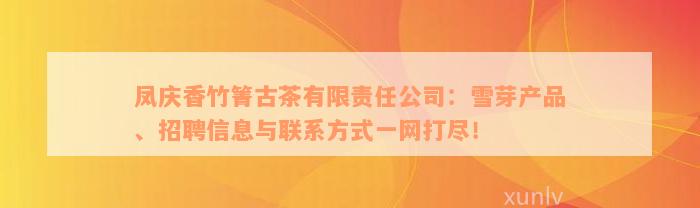 凤庆香竹箐古茶有限责任公司：雪芽产品、招聘信息与联系方式一网打尽！