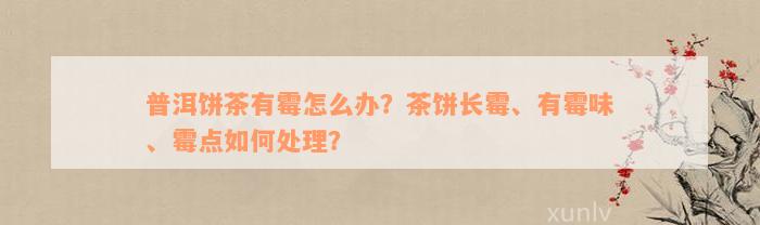 普洱饼茶有霉怎么办？茶饼长霉、有霉味、霉点如何处理？