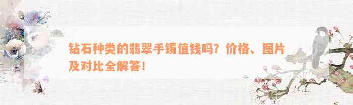 钻石种类的翡翠手镯值钱吗？价格、图片及对比全解答！