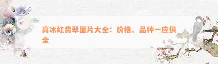 高冰红翡翠图片大全：价格、品种一应俱全