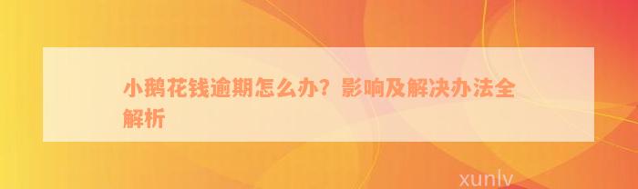 小鹅花钱逾期怎么办？影响及解决办法全解析