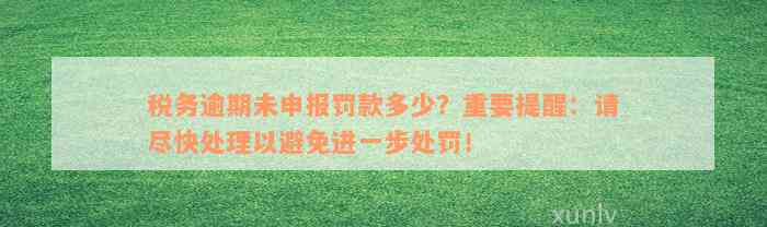 税务逾期未申报罚款多少？重要提醒：请尽快处理以避免进一步处罚！