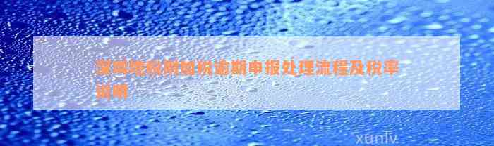 深圳地税附加税逾期申报处理流程及税率说明