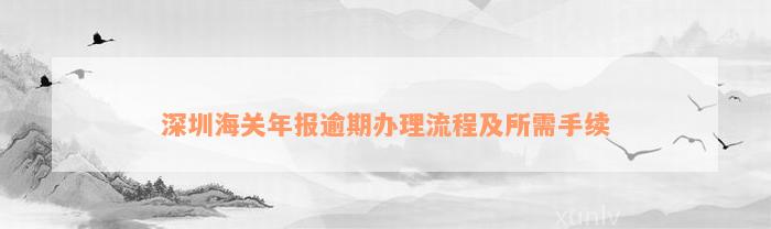 深圳海关年报逾期办理流程及所需手续