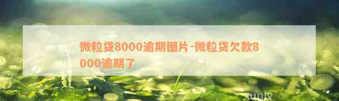 微粒贷8000逾期图片-微粒贷欠款8000逾期了