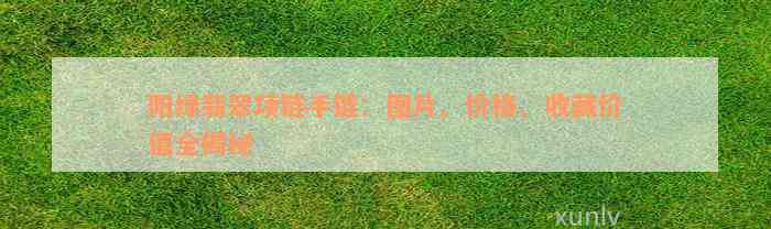 阳绿翡翠项链手链：图片、价格、收藏价值全揭秘