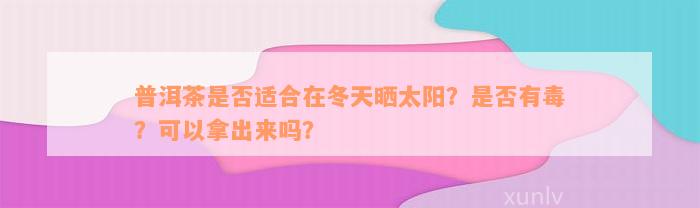 普洱茶是否适合在冬天晒太阳？是否有毒？可以拿出来吗？