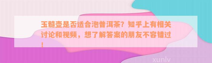 玉髓壶是否适合泡普洱茶？知乎上有相关讨论和视频，想了解答案的朋友不容错过！