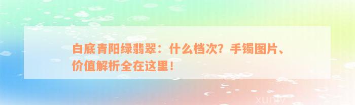 白底青阳绿翡翠：什么档次？手镯图片、价值解析全在这里！