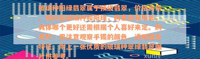 玻璃种阳绿翡翠属于顶级翡翠，价格高昂。相比起玻璃种和阳绿，两者各有所长，具体哪个更好还需根据个人喜好来定。购买时，需注意观察手镯的颜色、透明度等特征。附上一张优质的玻璃种翠绿翡翠图片供参考。