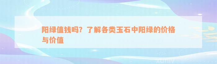 阳绿值钱吗？了解各类玉石中阳绿的价格与价值