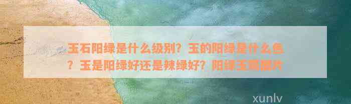 玉石阳绿是什么级别？玉的阳绿是什么色？玉是阳绿好还是辣绿好？阳绿玉镯图片