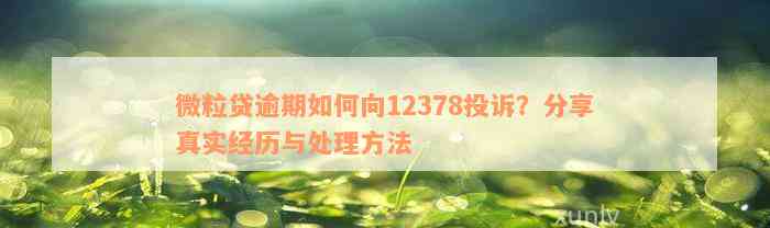 微粒贷逾期如何向12378投诉？分享真实经历与处理方法