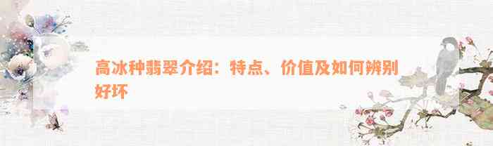 高冰种翡翠介绍：特点、价值及如何辨别好坏