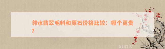 邻水翡翠毛料和原石价格比较：哪个更贵？