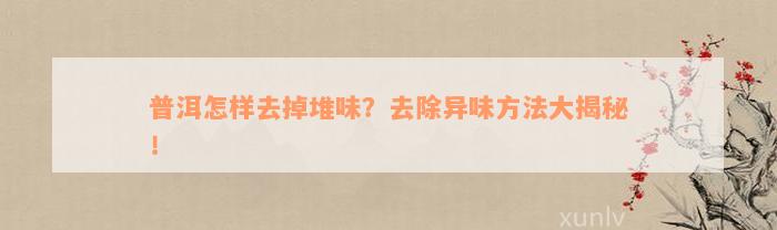 普洱怎样去掉堆味？去除异味方法大揭秘！