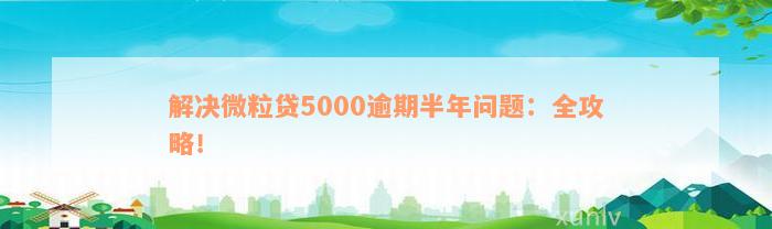 解决微粒贷5000逾期半年问题：全攻略！