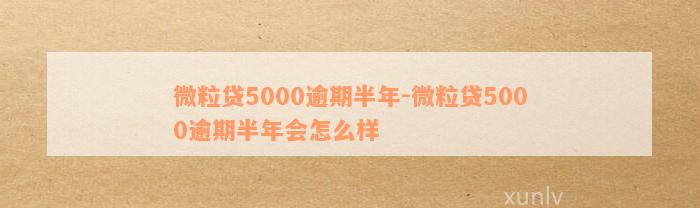 微粒贷5000逾期半年-微粒贷5000逾期半年会怎么样