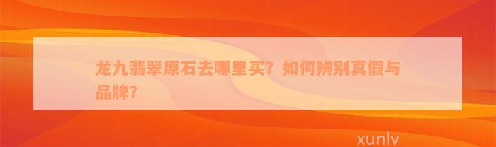 龙九翡翠原石去哪里买？如何辨别真假与品牌？