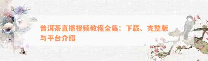 普洱茶直播视频教程全集：下载、完整版与平台介绍