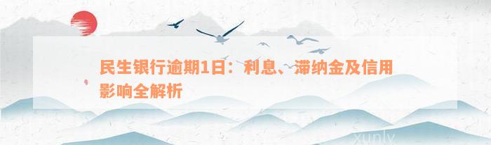 民生银行逾期1日：利息、滞纳金及信用影响全解析