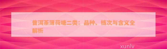 普洱茶薄荷塘二类：品种、档次与含义全解析