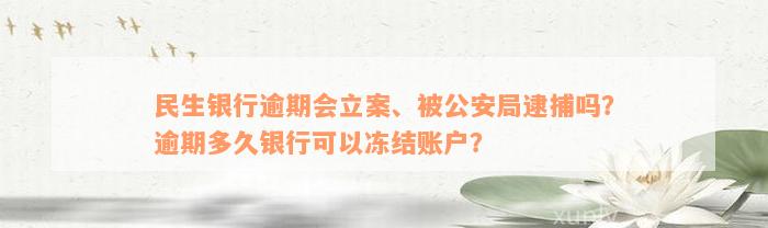 民生银行逾期会立案、被公安局逮捕吗？逾期多久银行可以冻结账户？