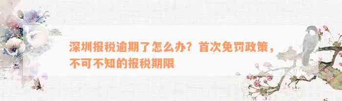 深圳报税逾期了怎么办？首次免罚政策，不可不知的报税期限