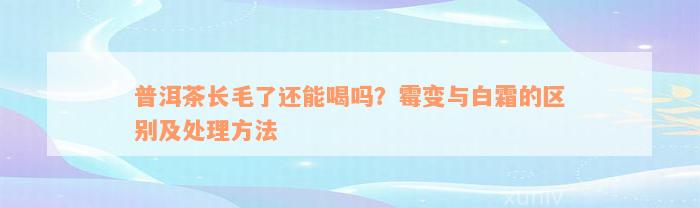 普洱茶长毛了还能喝吗？霉变与白霜的区别及处理方法