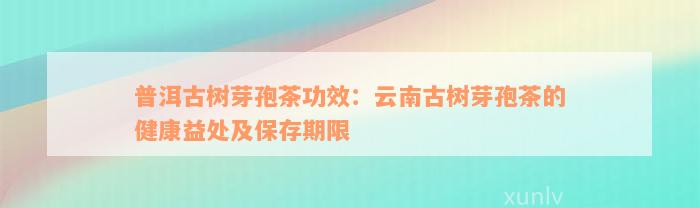 普洱古树芽孢茶功效：云南古树芽孢茶的健康益处及保存期限