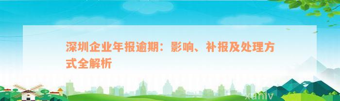 深圳企业年报逾期：影响、补报及处理方式全解析