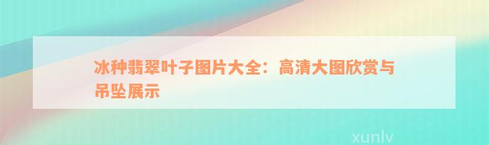 冰种翡翠叶子图片大全：高清大图欣赏与吊坠展示