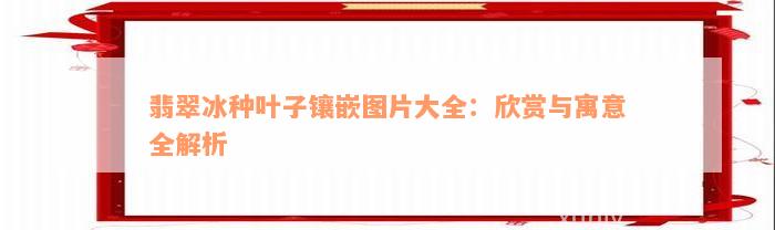 翡翠冰种叶子镶嵌图片大全：欣赏与寓意全解析