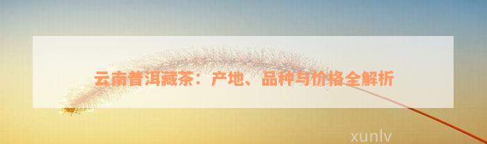 云南普洱藏茶：产地、品种与价格全解析