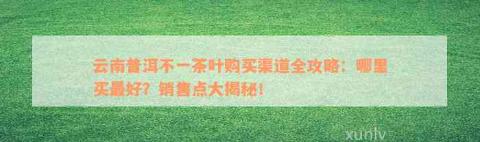 云南普洱不一茶叶购买渠道全攻略：哪里买最好？销售点大揭秘！