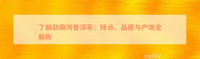 了解勐麻河普洱茶：特点、品质与产地全解析