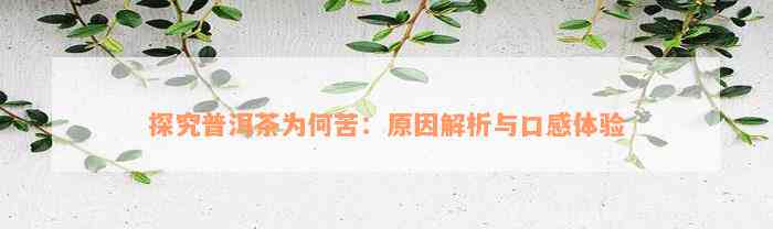 探究普洱茶为何苦：原因解析与口感体验