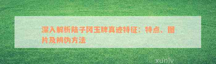 深入解析陆子冈玉牌真迹特征：特点、图片及辨伪方法