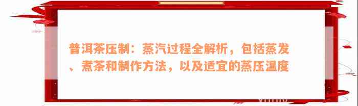 普洱茶压制：蒸汽过程全解析，包括蒸发、煮茶和制作方法，以及适宜的蒸压温度