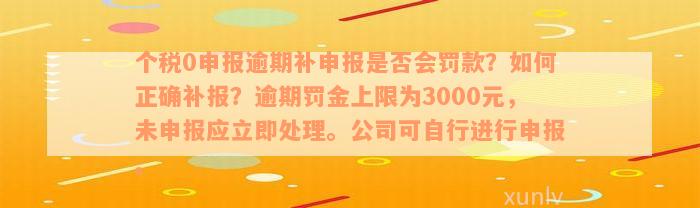 个税0申报逾期补申报是否会罚款？如何正确补报？逾期罚金上限为3000元，未申报应立即处理。公司可自行进行申报。