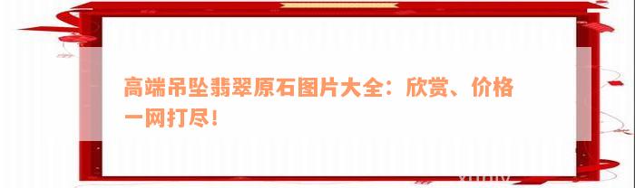 高端吊坠翡翠原石图片大全：欣赏、价格一网打尽！