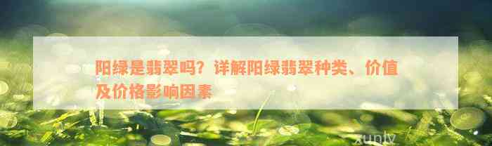 阳绿是翡翠吗？详解阳绿翡翠种类、价值及价格影响因素