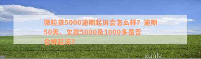 微粒贷5000逾期起诉会怎么样？逾期50天、欠款5000及1000多是否会被起诉？