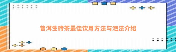 普洱生砖茶最佳饮用方法与泡法介绍