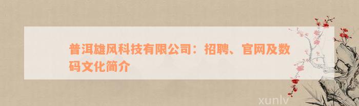 普洱雄风科技有限公司：招聘、官网及数码文化简介