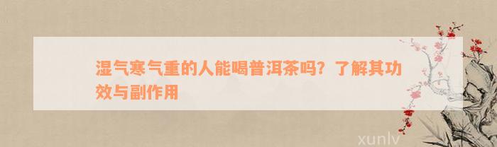 湿气寒气重的人能喝普洱茶吗？了解其功效与副作用