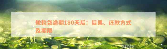 微粒贷逾期180天后：后果、还款方式及期限